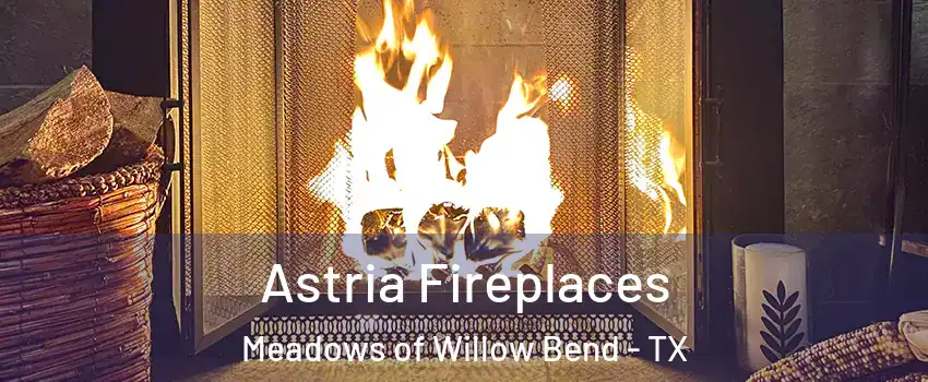 Astria Fireplaces Meadows of Willow Bend - TX