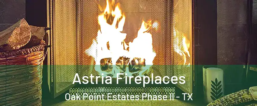 Astria Fireplaces Oak Point Estates Phase II - TX