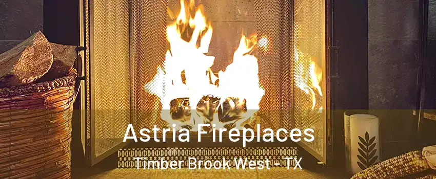 Astria Fireplaces Timber Brook West - TX