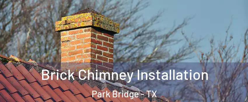 Brick Chimney Installation Park Bridge - TX