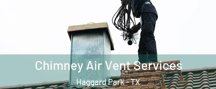 Chimney Air Vent Services Haggard Park - TX