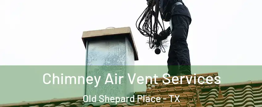 Chimney Air Vent Services Old Shepard Place - TX