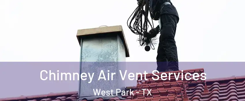 Chimney Air Vent Services West Park - TX