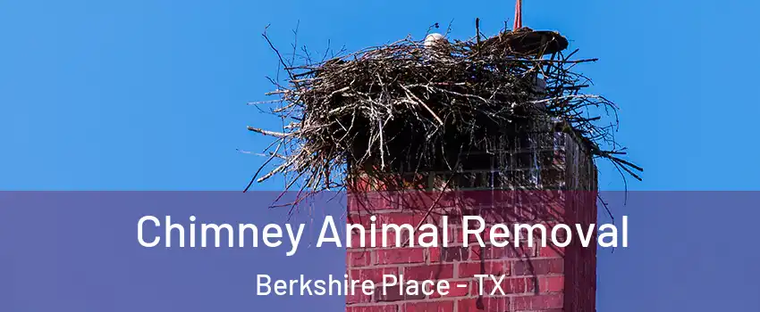 Chimney Animal Removal Berkshire Place - TX