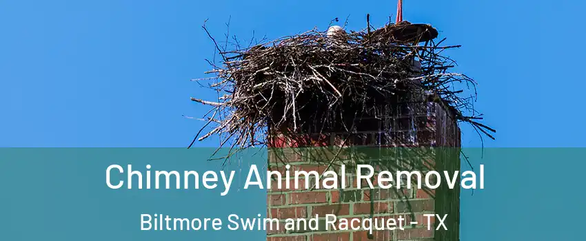 Chimney Animal Removal Biltmore Swim and Racquet - TX