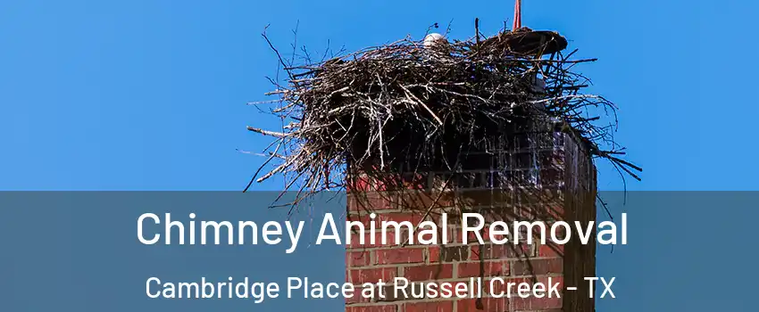 Chimney Animal Removal Cambridge Place at Russell Creek - TX