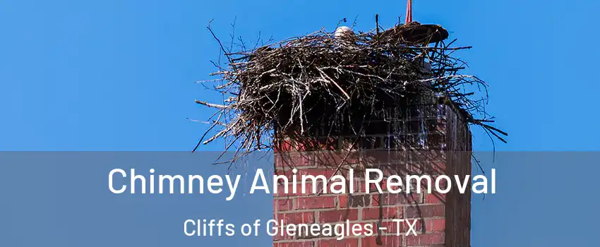 Chimney Animal Removal Cliffs of Gleneagles - TX