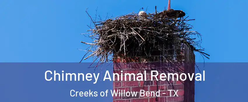 Chimney Animal Removal Creeks of Willow Bend - TX