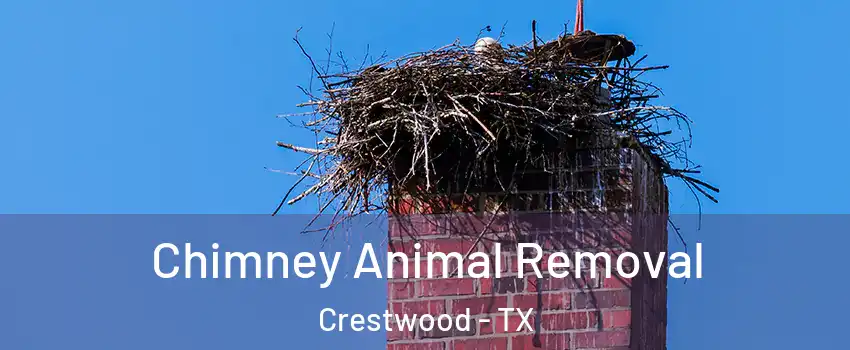 Chimney Animal Removal Crestwood - TX