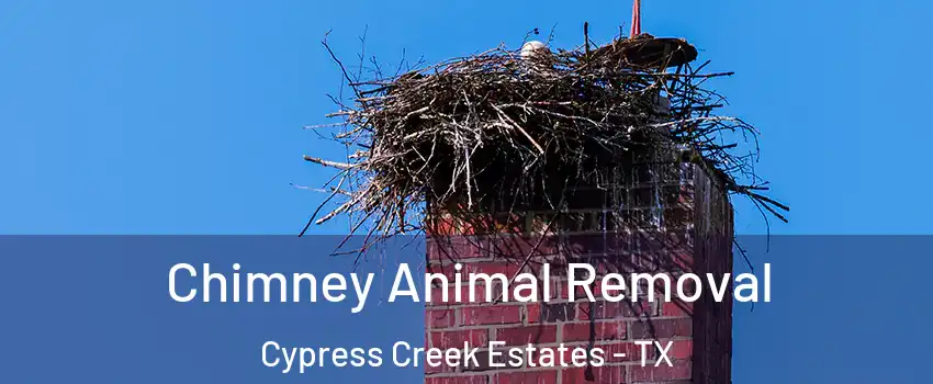 Chimney Animal Removal Cypress Creek Estates - TX