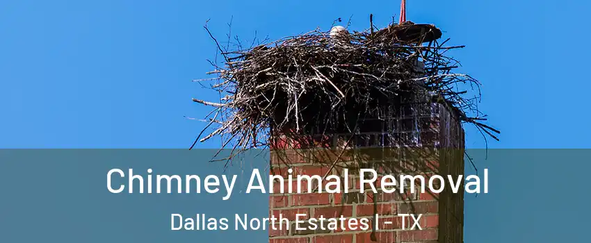 Chimney Animal Removal Dallas North Estates I - TX