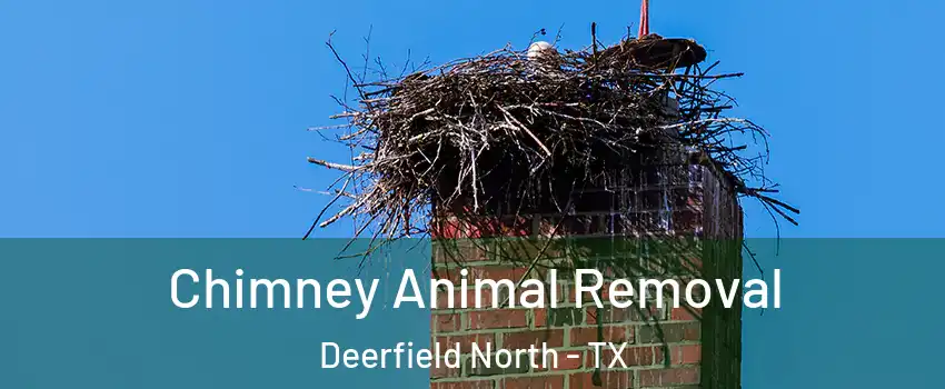 Chimney Animal Removal Deerfield North - TX