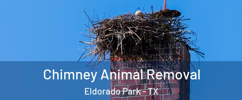 Chimney Animal Removal Eldorado Park - TX