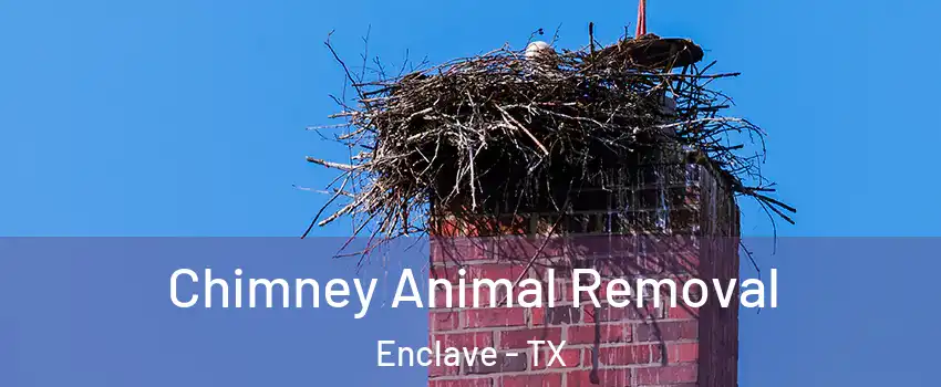 Chimney Animal Removal Enclave - TX