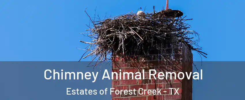 Chimney Animal Removal Estates of Forest Creek - TX