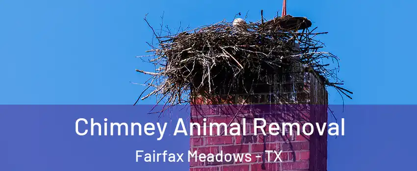 Chimney Animal Removal Fairfax Meadows - TX