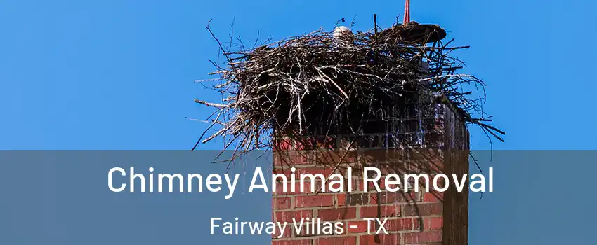 Chimney Animal Removal Fairway Villas - TX