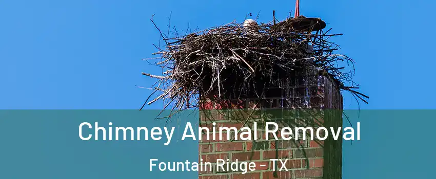Chimney Animal Removal Fountain Ridge - TX