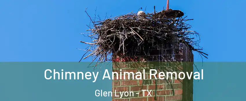 Chimney Animal Removal Glen Lyon - TX