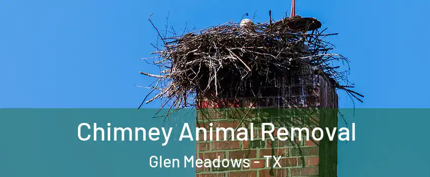 Chimney Animal Removal Glen Meadows - TX