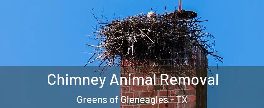 Chimney Animal Removal Greens of Gleneagles - TX