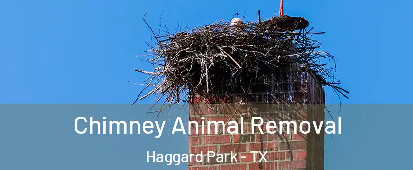 Chimney Animal Removal Haggard Park - TX
