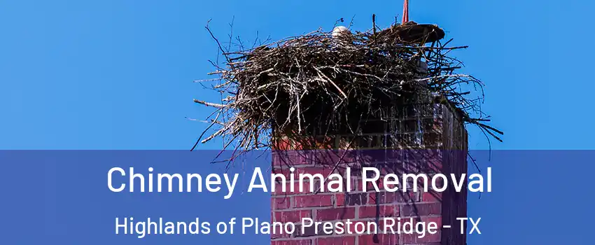 Chimney Animal Removal Highlands of Plano Preston Ridge - TX