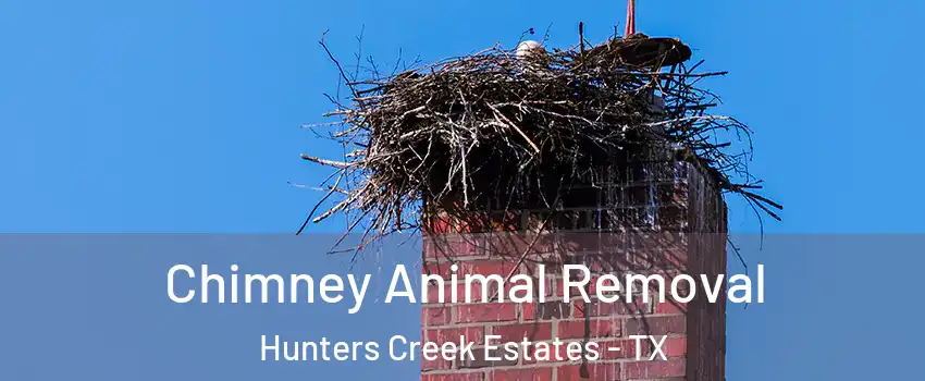 Chimney Animal Removal Hunters Creek Estates - TX
