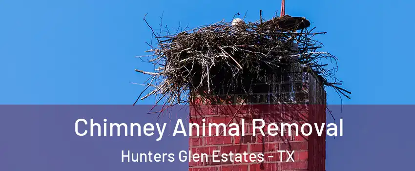 Chimney Animal Removal Hunters Glen Estates - TX
