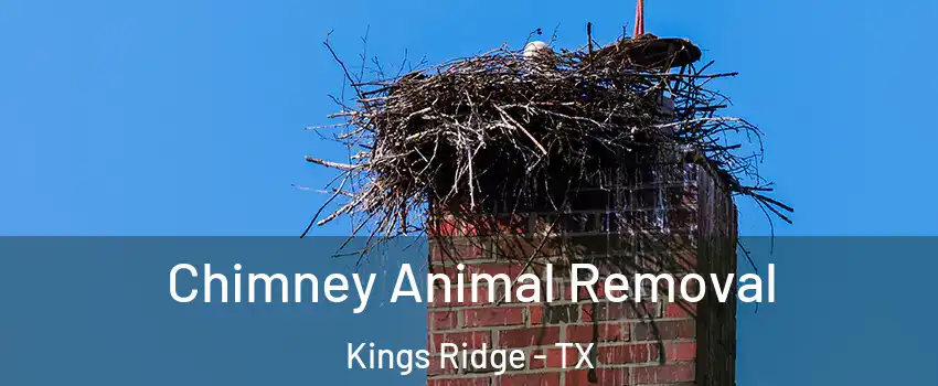 Chimney Animal Removal Kings Ridge - TX