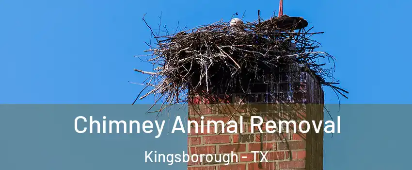 Chimney Animal Removal Kingsborough - TX