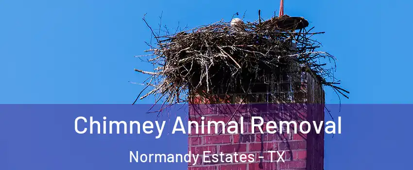Chimney Animal Removal Normandy Estates - TX
