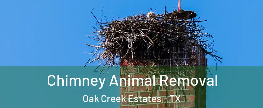 Chimney Animal Removal Oak Creek Estates - TX