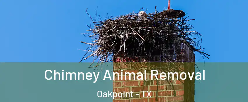 Chimney Animal Removal Oakpoint - TX