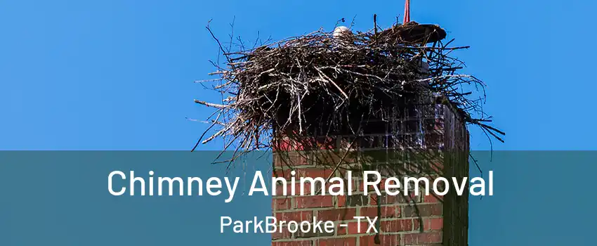 Chimney Animal Removal ParkBrooke - TX