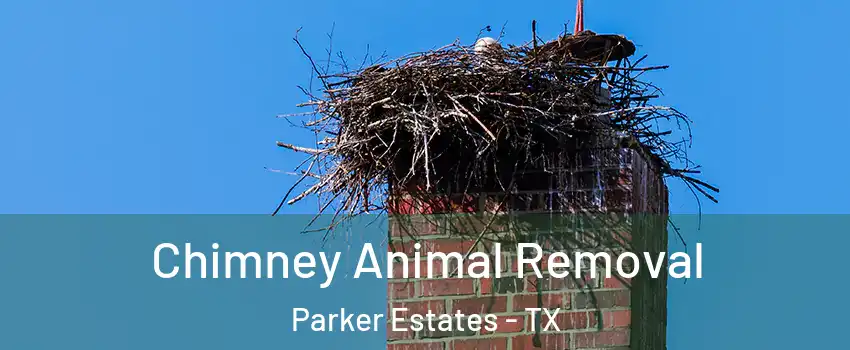 Chimney Animal Removal Parker Estates - TX