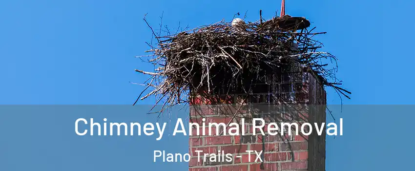 Chimney Animal Removal Plano Trails - TX