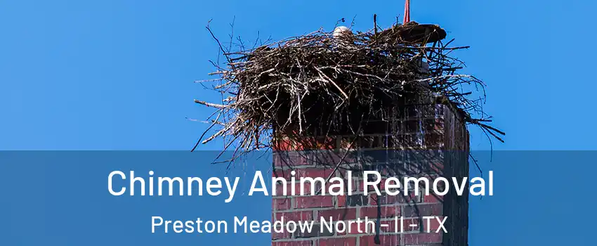 Chimney Animal Removal Preston Meadow North - II - TX