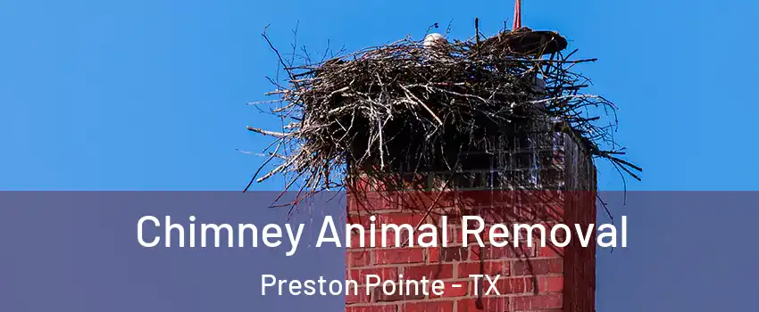 Chimney Animal Removal Preston Pointe - TX