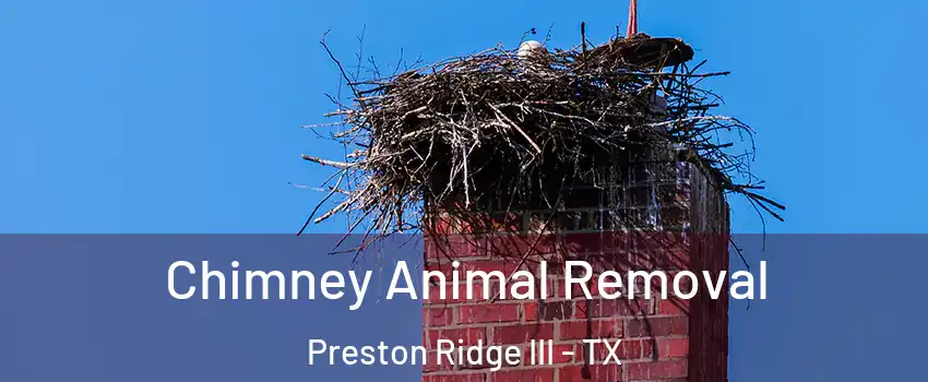 Chimney Animal Removal Preston Ridge III - TX