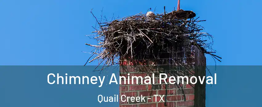 Chimney Animal Removal Quail Creek - TX