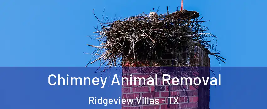 Chimney Animal Removal Ridgeview Villas - TX