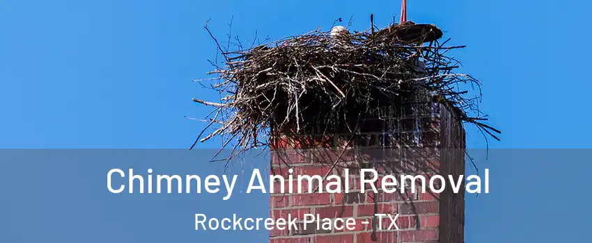 Chimney Animal Removal Rockcreek Place - TX