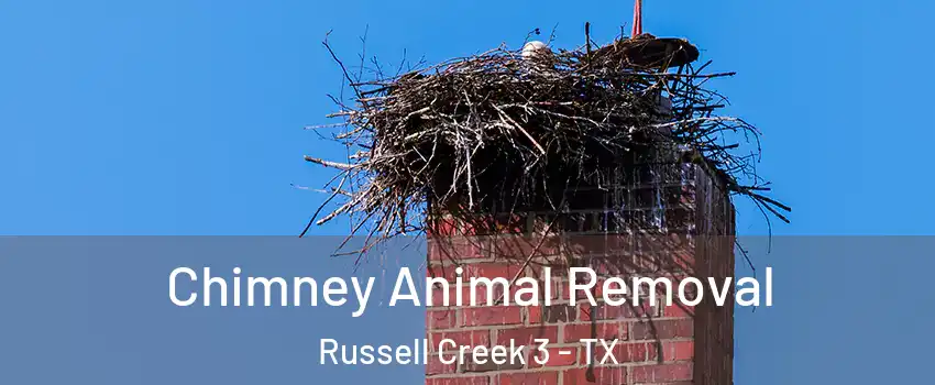 Chimney Animal Removal Russell Creek 3 - TX