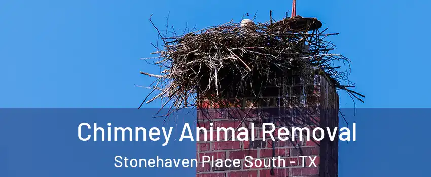 Chimney Animal Removal Stonehaven Place South - TX