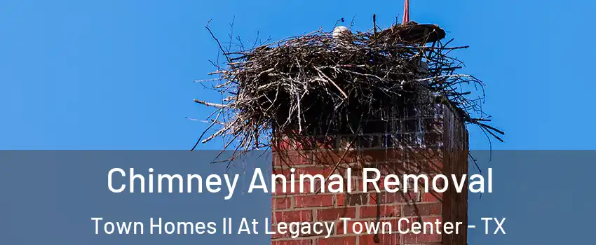 Chimney Animal Removal Town Homes II At Legacy Town Center - TX