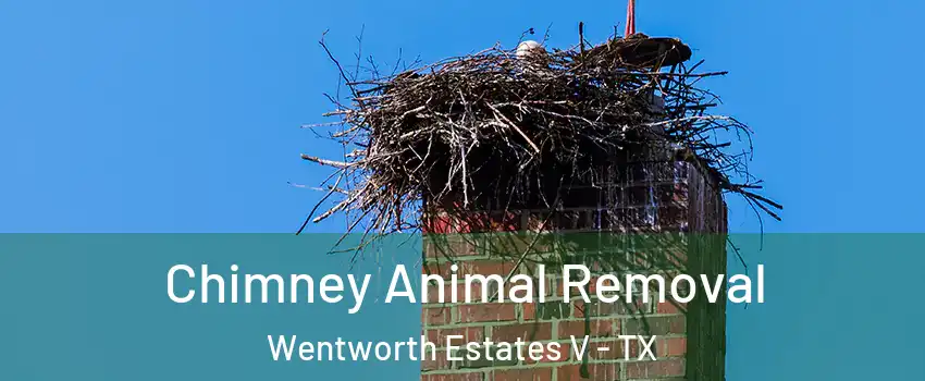 Chimney Animal Removal Wentworth Estates V - TX