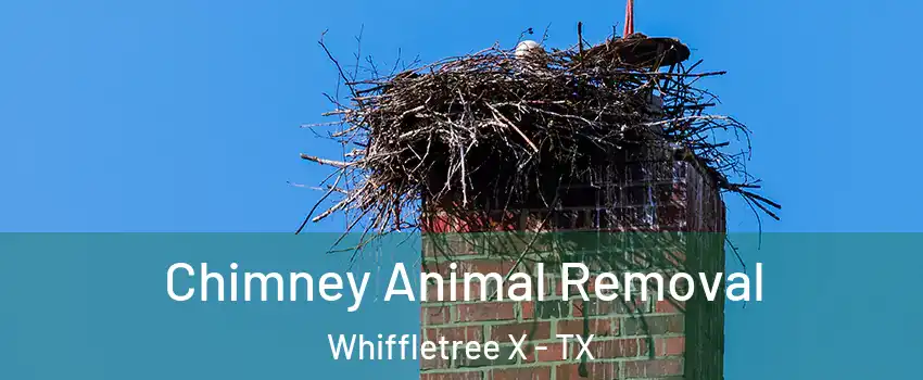 Chimney Animal Removal Whiffletree X - TX