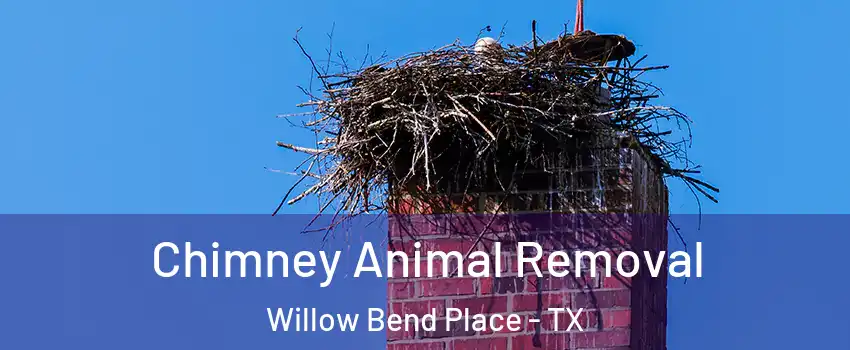 Chimney Animal Removal Willow Bend Place - TX
