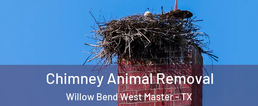 Chimney Animal Removal Willow Bend West Master - TX